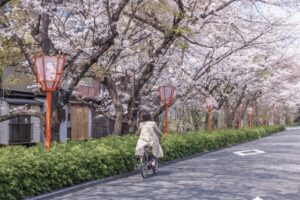 京都のレンタサイクル