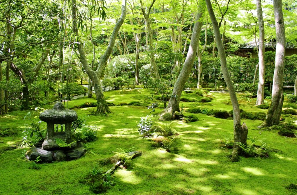 祇王寺の庭